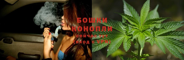 2c-b Надым