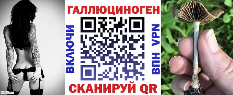 Галлюциногенные грибы Psilocybe  купить наркоту  Трёхгорный 